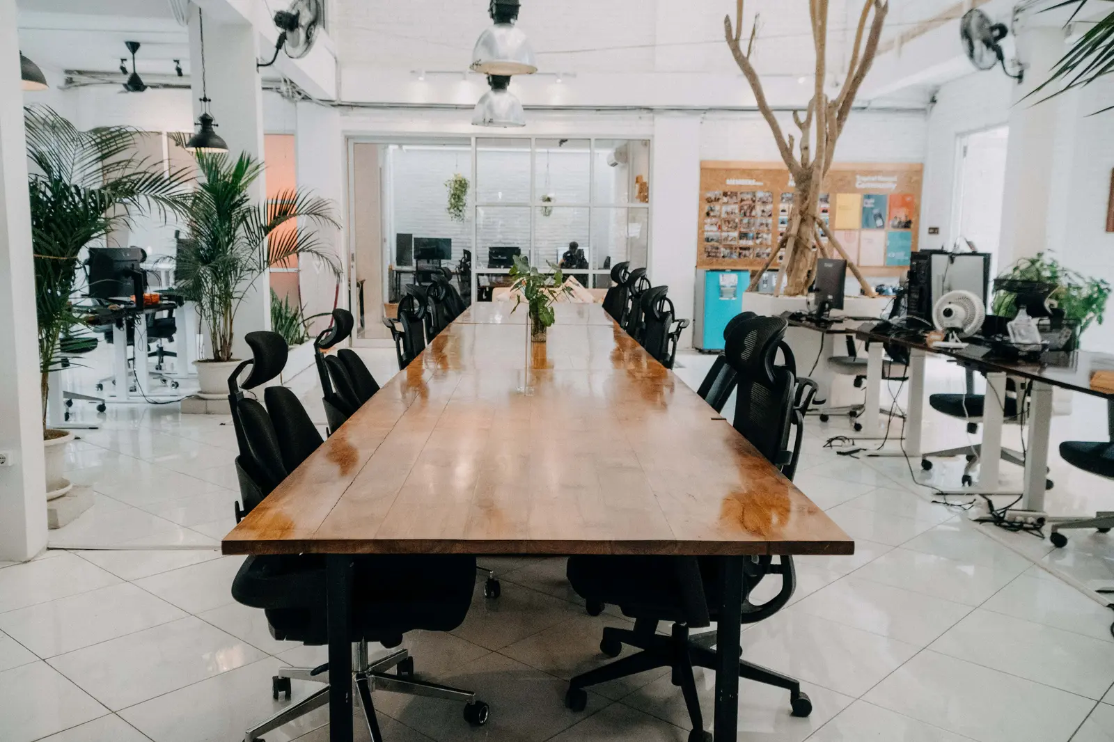 Tropical Nomad Coworking Space, photo 4